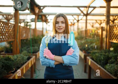 Donna giardiniere pone in negozio per giardinaggio, venditore. Donna vende piante in negozio fiorista, venditore in grembiule e guanti Foto Stock