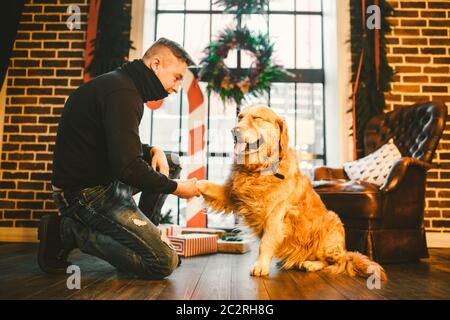 Amicizia di uomo e cane. Il retriever dorato del PET razza il cane shaggy del labrador. Un uomo si allena, insegna ad un cane a dare una zampa, a eseguire Foto Stock