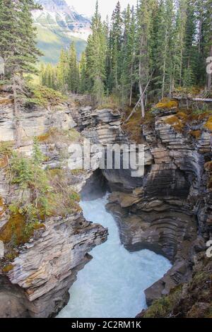 Vista sulle tracce delle cascate Sunwapta su Icefield Parkway, Alberta, Canada Foto Stock