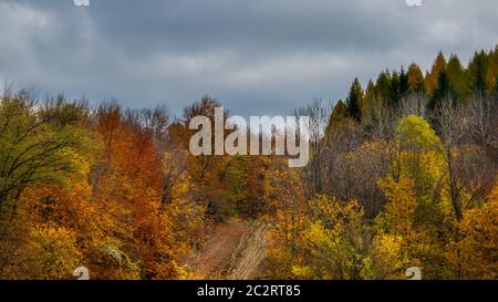 Bel cielo e nuvole su una foresta in cima a una collina Foto Stock