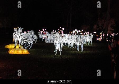 Francia Gaillac Tarn 12-2018: La festa delle lanterne uno dei più grandi del suo genere in Europa si svolge in quattro ettari di parklan nel villaggio di Foto Stock