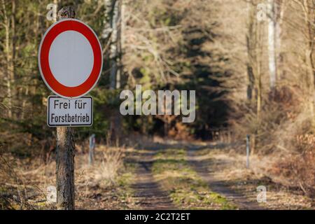 guida su sentieri forestali proibiti Foto Stock