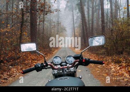 Moto in una foresta di pini foggy. Foto dal driver. Passeggiata di mattina Foto Stock