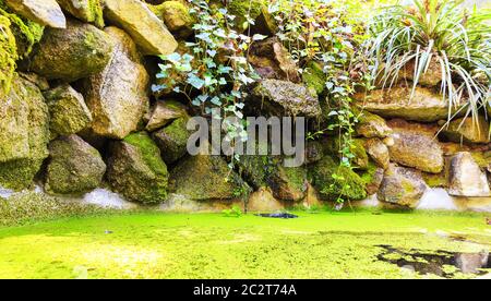 Marsh alle rocce profonde nella foresta Foto Stock