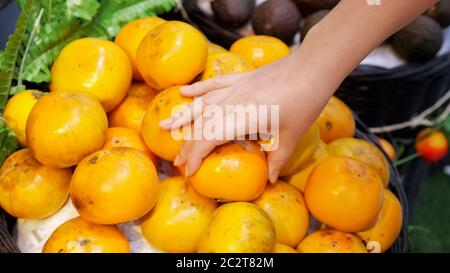 La mano della donna raccoglie i persimmons in un deposito. Foto Stock