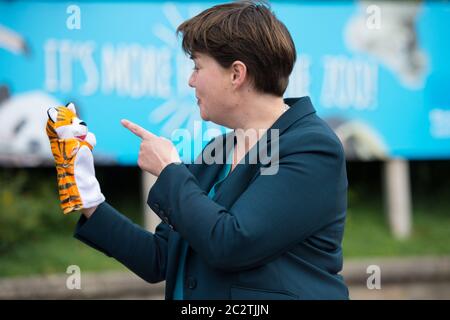 Edimburgo, Scozia, Regno Unito. 18 giugno 2020. Nella foto: Ruth Davidson MSP - ex leader del conservatore scozzese e unionista Paary, ha visto la campagna sui gradini dello zoo con manifesti e burattini di animali per la riapertura sicura dello zoo di Edimburgo come parte della fase 2 di alleggerimento delle restrizioni di blocco. Credit: Colin Fisher/Alamy Live News Foto Stock