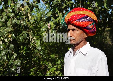 Un giardiniere legato chunari turban si trova nel giardino verde Foto Stock