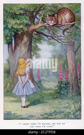 CHESHIRE CAT di Alice's Adventures in Wonderland di Lewis Carroll nel 1865 Foto Stock
