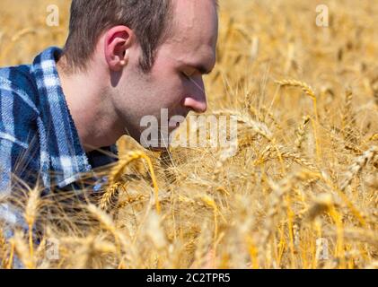 Grato agricoltore nel campo di grano pregando per il raccolto Foto Stock