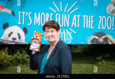 Edimburgo MSP Ruth Davidson si è impegnato a fare campagna fuori dallo zoo di Edimburgo per la sua riapertura sicura come parte della fase 2 di allentamento delle restrizioni di blocco. Foto Stock