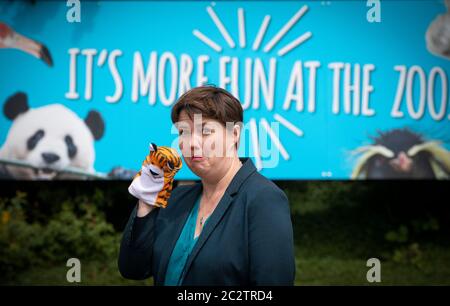 Edimburgo MSP Ruth Davidson si è impegnato a fare campagna fuori dallo zoo di Edimburgo per la sua riapertura sicura come parte della fase 2 di allentamento delle restrizioni di blocco. Foto Stock