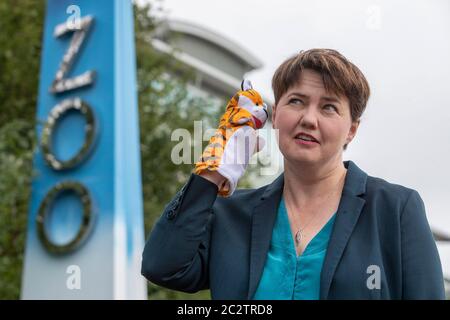 Edimburgo MSP Ruth Davidson si è impegnato a fare campagna fuori dallo zoo di Edimburgo per la sua riapertura sicura come parte della fase 2 di allentamento delle restrizioni di blocco. Foto Stock