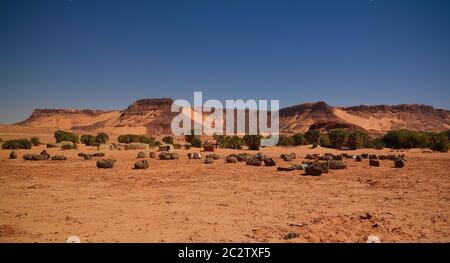 Estrazione di sale nel lago secco Saline Demi, Fada, Ennedi, Ciad Foto Stock