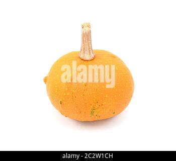 Round zucca ornamentale con arancio brillante pelle per autunno decorazione, su sfondo bianco Foto Stock