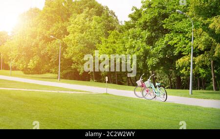 Due biciclette in piedi sulla strada nel parco verde Foto Stock