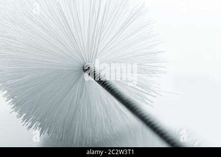 Vista macro della spazzola per bottiglie Foto Stock