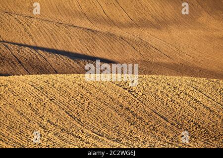 Un gioco di luci e di ombre in un campo di autunno nel paesaggio ondulato della Moravia del sud. Bassa sole di mattina delle vernici in campi di colore marrone. Toscana moravo Foto Stock