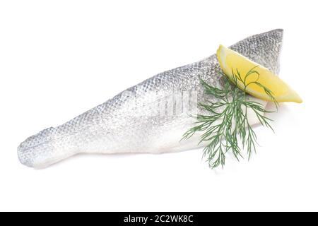 Spigola europea Foto Stock