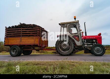 Vecchio trattore e rimorchio che raccoglie torba per combustibile in Irlanda Foto Stock