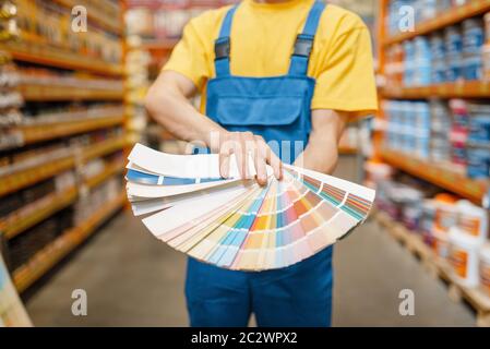 Assistente e cliente femminile con tavolozza dei colori in negozio di hardware. Venditore in uniforme e donna in negozio fai da te, shopping in costruzione supermercato Foto Stock