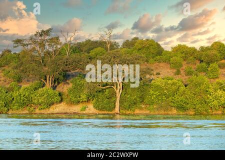 Tramonto del paesaggio del fiume Chobe in Botswana, la vista dall'imbarcazione. Africa deserto Foto Stock