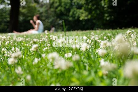 Amburgo, Germania. 18 Giugno 2020. Una donna è seduta al sole su un prato con fiori bianchi sul balcone di Altona. Credit: Jonas Klüter/dpa/Alamy Live News Foto Stock