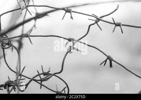 Una cupa vista in bianco e nero attraverso un filo metallico spinato, la limitazione della libertà e la detenzione in una zona di regime o in una struttura militare rigorosa. Foto Stock