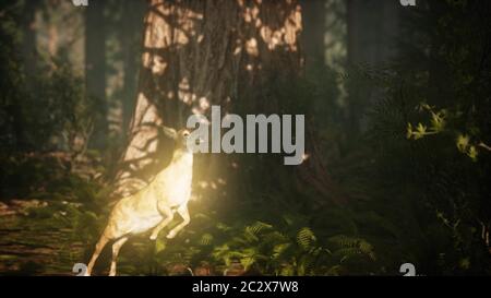 Extreme slow motion deer salto nella foresta di pini Foto Stock