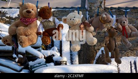 cute orsacchiotto marrone bagnato appesi su un clothesline e asciugare all'aria fresca, all'aperto Foto Stock
