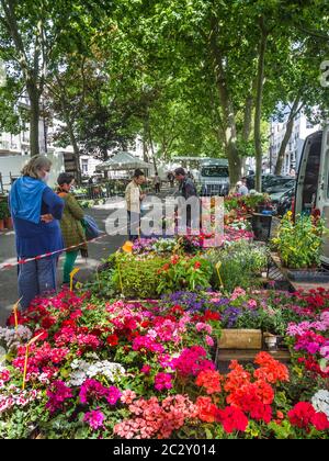 Venditori di fiori al mercato tradizionale dei fiori del mercoledì, Boulevard Béranger, Tours, Indre-et-Loire, Francia. Foto Stock