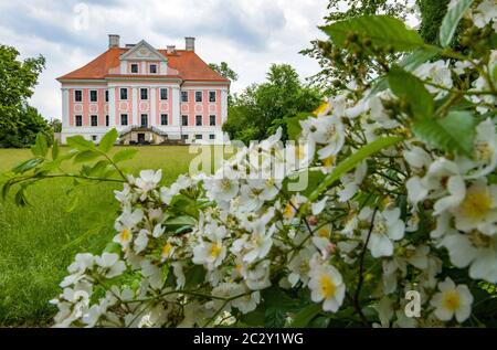 12 giugno 2020, Brandeburgo, Groß Rietz: Il castello Groß di Rietz. La Brandenburgische Schlösser GmbH aveva preso il controllo della proprietà con la sua façade rosa e bianca dal comune a metà degli anni '90 per salvarla da ulteriore decadimento. Oltre cinque milioni di euro sono stati investiti nel restauro in conformità con l'ordine di conservazione. Allo stesso tempo, è stato richiesto un nuovo utente per i 1,100 metri quadrati. Foto: Patrick Pleul/dpa-Zentralbild/ZB Foto Stock