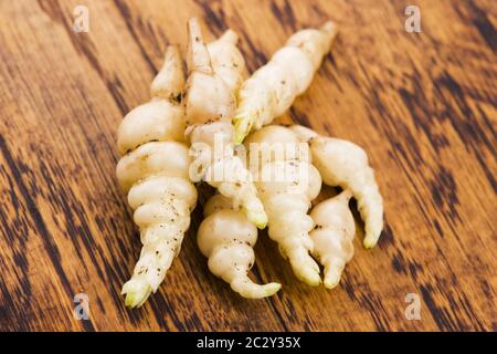 Giapponese Stachys crosne affinis tuberi rizoma root closeup vegetale Foto Stock