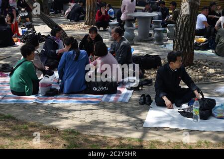 Pyongyang, Corea del Nord - 1 maggio 2019: Famiglie felici divertirsi all'aperto al barbecue picnic con spuntini, cibo e bevande. La gente del posto si diverte in primavera t Foto Stock