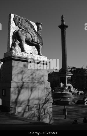 Colonna Nelsons con 4 ° basamento montato con replica di Lamassu in primo piano Trafalgar Square in bianco e nero Foto Stock