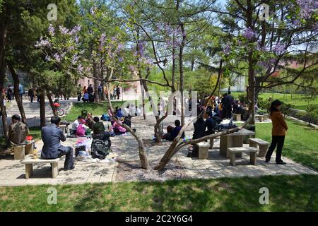 Pyongyang, Corea del Nord - 1 maggio 2019: Famiglie felici divertirsi all'aperto al barbecue picnic con spuntini, cibo e bevande. La gente del posto si diverte in primavera t Foto Stock