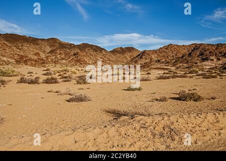 Scenario delle montagne del deserto nel Parco Nazionale di Richtersveld 3818 Foto Stock