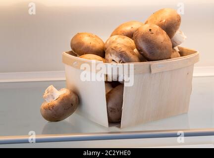Funghi in frigorifero aperto. Foto Stock