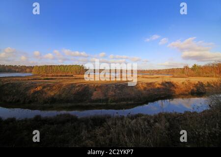 La riserva naturale Kohlplatteschlag vicino a Neuthard Foto Stock