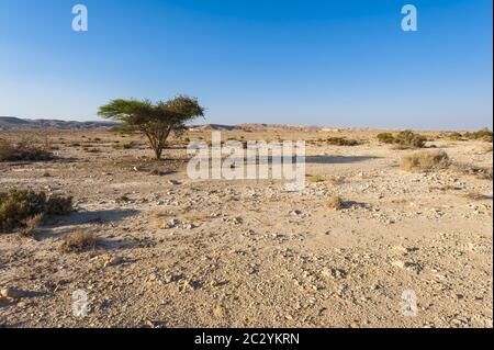 Il deserto del Negev in Israele Foto Stock