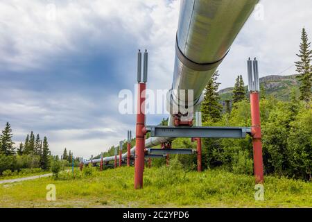Alyeska Pipeline che attraversa il paesaggio montuoso, Glennallen, Alaska, USA Foto Stock