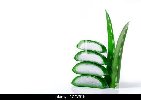 Fette e foglie Aloe vera isolato su sfondo bianco . Cosmetica e medicina di erbe concetto. Foto Stock