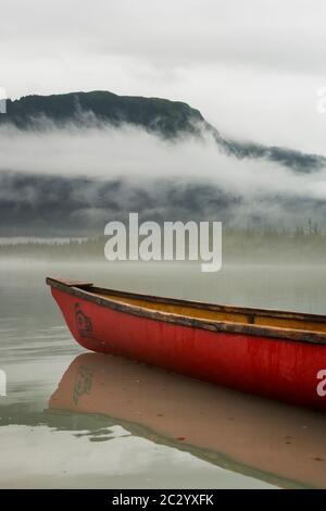Tranquilla e serena scena naturale di una nebbia nebbia nebbia mattina sul lago Mendenhall alla base di Juneau Icefield, Alaska, Stati Uniti Foto Stock