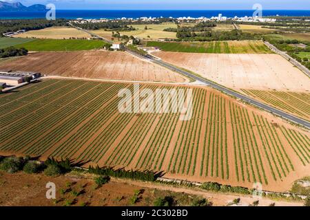 Foto aeree, baia e agricoltura, autostrada ma 3410 Can Picafort, Isole Baleari, Maiorca, Spagna Foto Stock