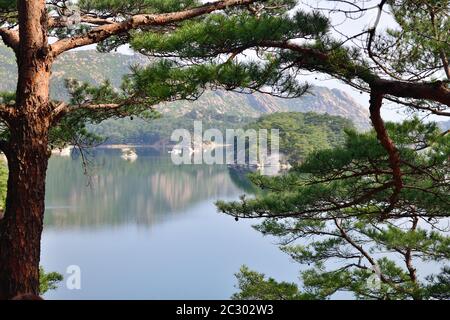 Corea del Nord. Monte Riserva della biosfera di Kumgang. Laguna Samil. Paesaggi incredibili. Pineta rossa coreana sulla riva del lago Samilpo Foto Stock