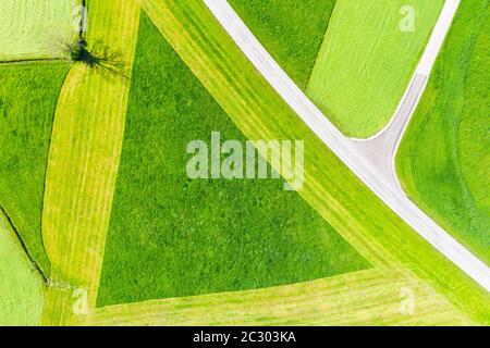 Paesaggio culturale, triangolo in prato parzialmente falciato e attraversamento di strada dall'alto, vicino Hopferau, fotografia drone, Allgaeu orientale, Allgaeu, Swabia Foto Stock