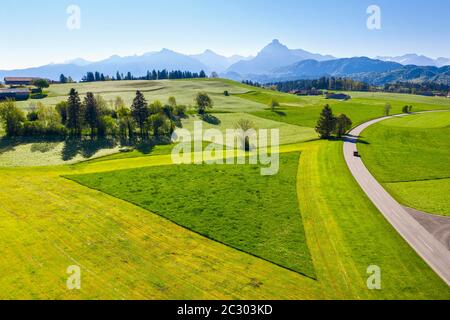 Paesaggio culturale, triangolo in prato parzialmente falciato, vicino Hopferau, fotografia drone, Alpino Foreland, Allgaeu orientale, Allgaeu, Svevia, Baviera Foto Stock