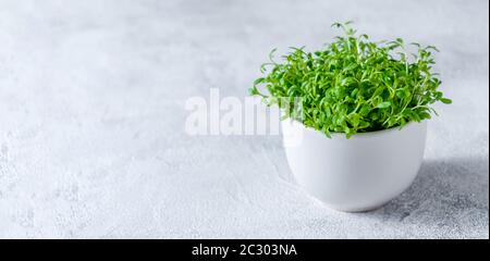 Primo piano Watercress in Little White Bowl su sfondo chiaro. Foto Stock