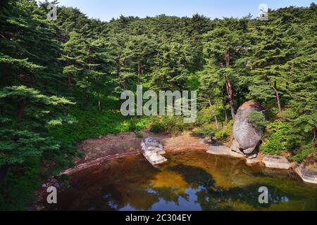 Corea del Nord. Monte Riserva della biosfera di Kumgang. Laguna Samil. Paesaggi incredibili. Pineta rossa coreana sulla riva del lago Samilpo Foto Stock