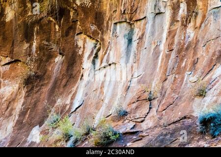 Giardini pensili sulle pareti colorate della scogliera di arenaria lungo la passeggiata lungo il fiume nel Parco Nazionale di Zion, Utah, Stati Uniti Foto Stock