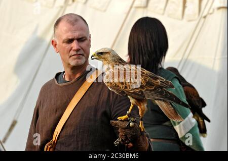 Falconer con l'Aquila imperiale orientale (Aquila heliaca), spettacolo di rapaci, festival storico della città, Gelnhausen, Main-Kinzig-Kreis, Assia, Germania Foto Stock